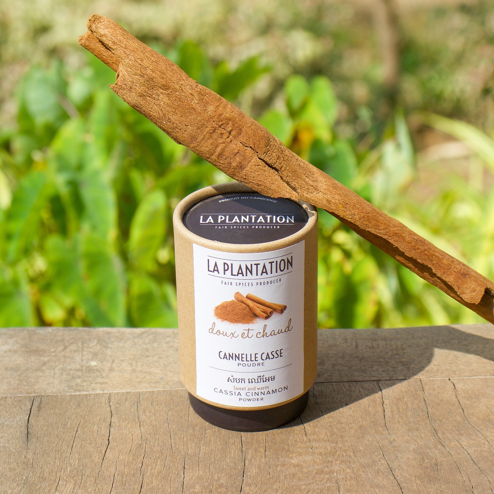 Poudre de Cannelle Casse - tube 50g