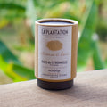 Tiges Citronnelle - tube 50g