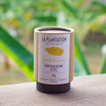 Curcuma blanc en poudre