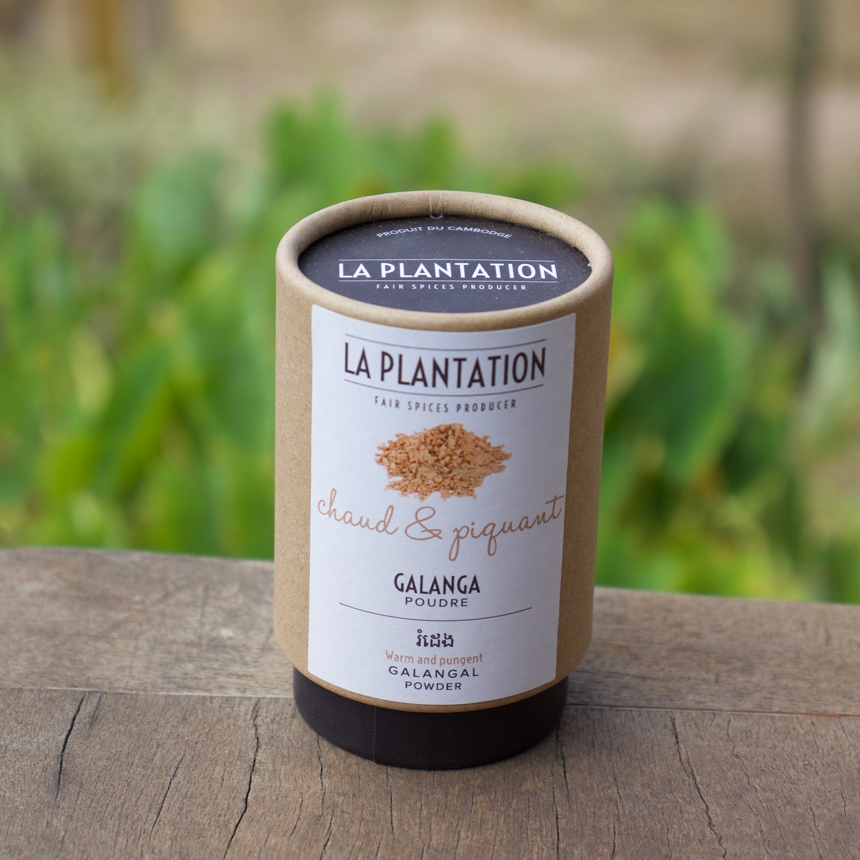 Poudre de Galanga - tube 50g